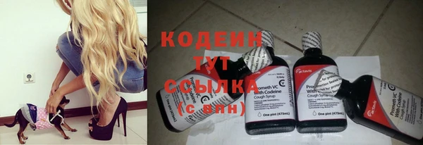 бошки Дмитров
