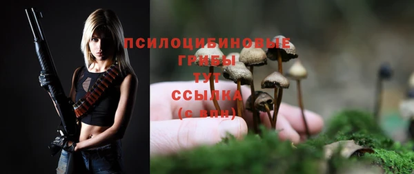 марихуана Дмитровск