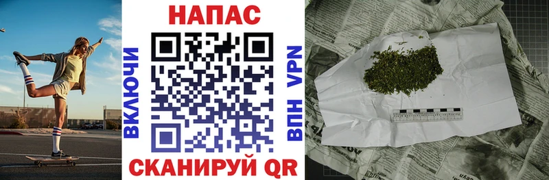 Купить где Любань Конопля SATIVA & INDICA